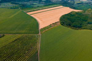 Agricultural land image of a Orlando commercial real estate